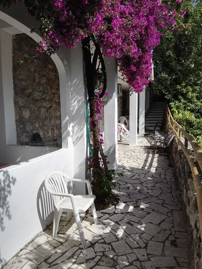 Hotel Hegelberger *